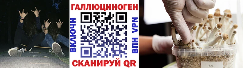 Купить  Сызрань  Псилоцибиновые грибы Cubensis 